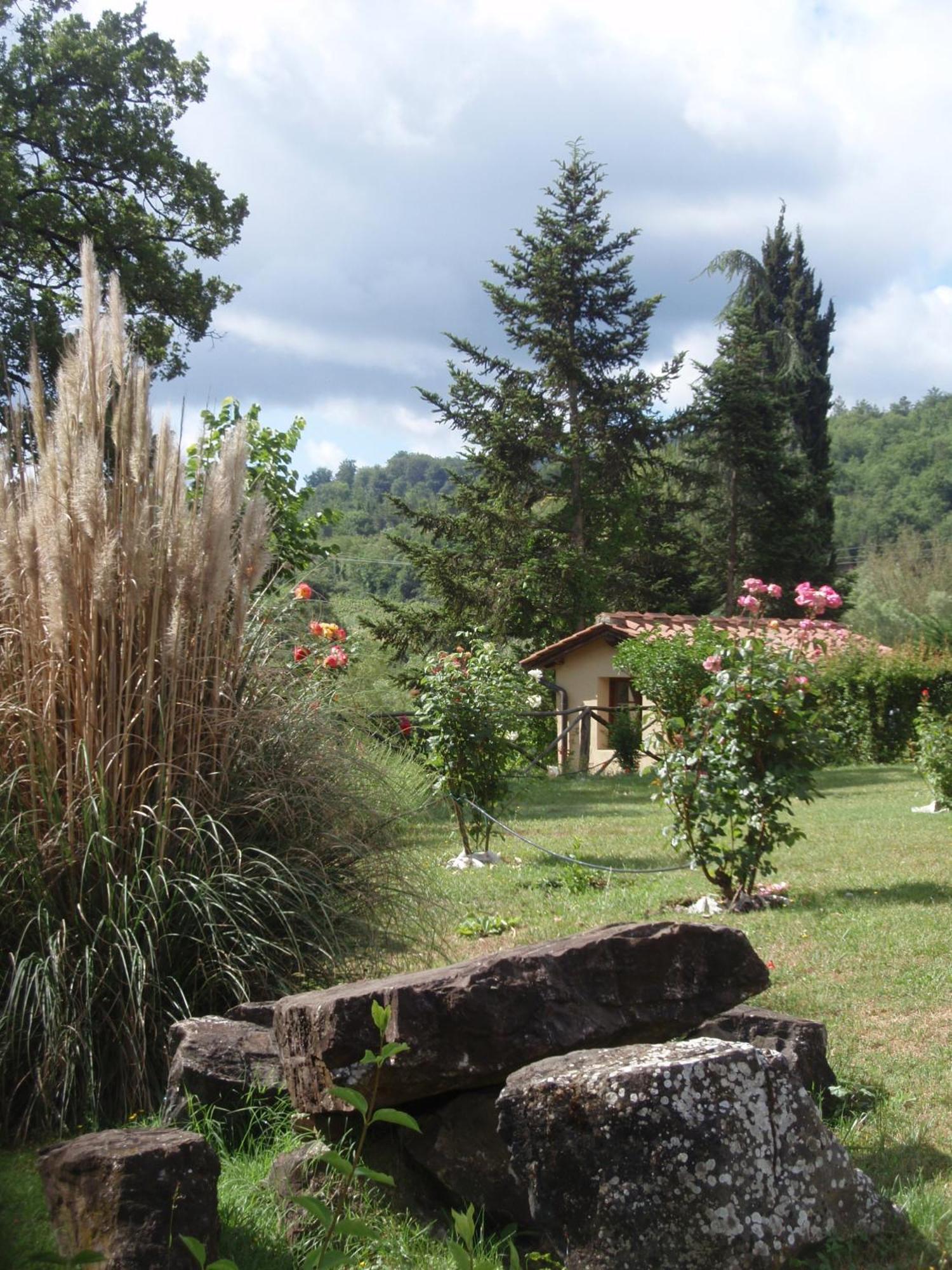 Villa Buonasera Agriturismo Greve in Chianti Buitenkant foto