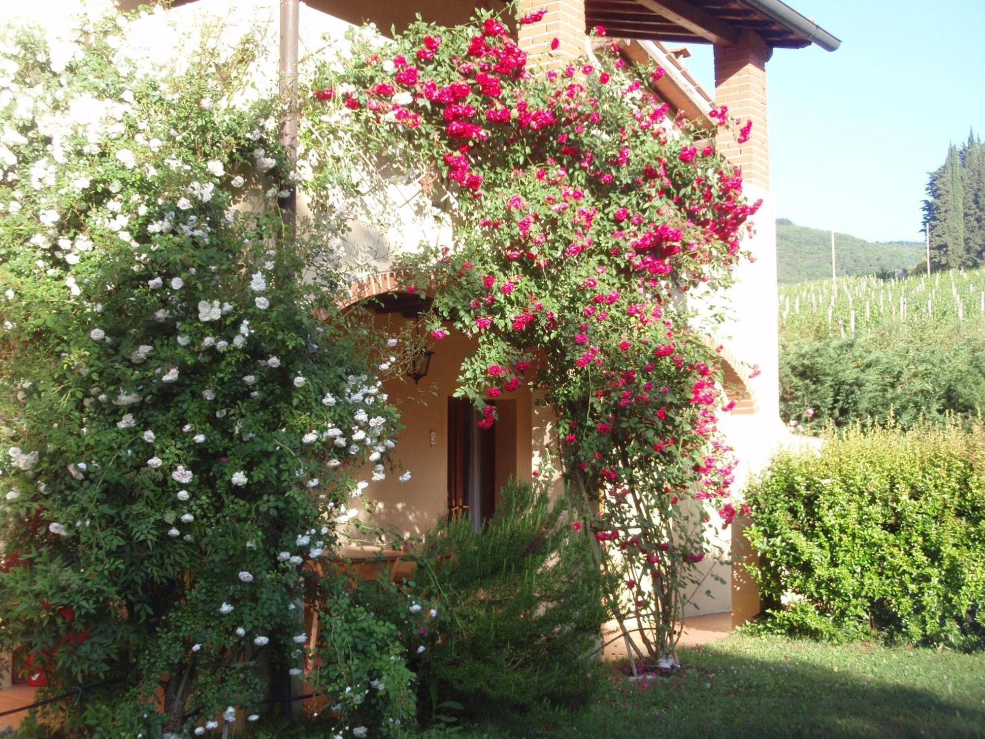 Villa Buonasera Agriturismo Greve in Chianti Buitenkant foto