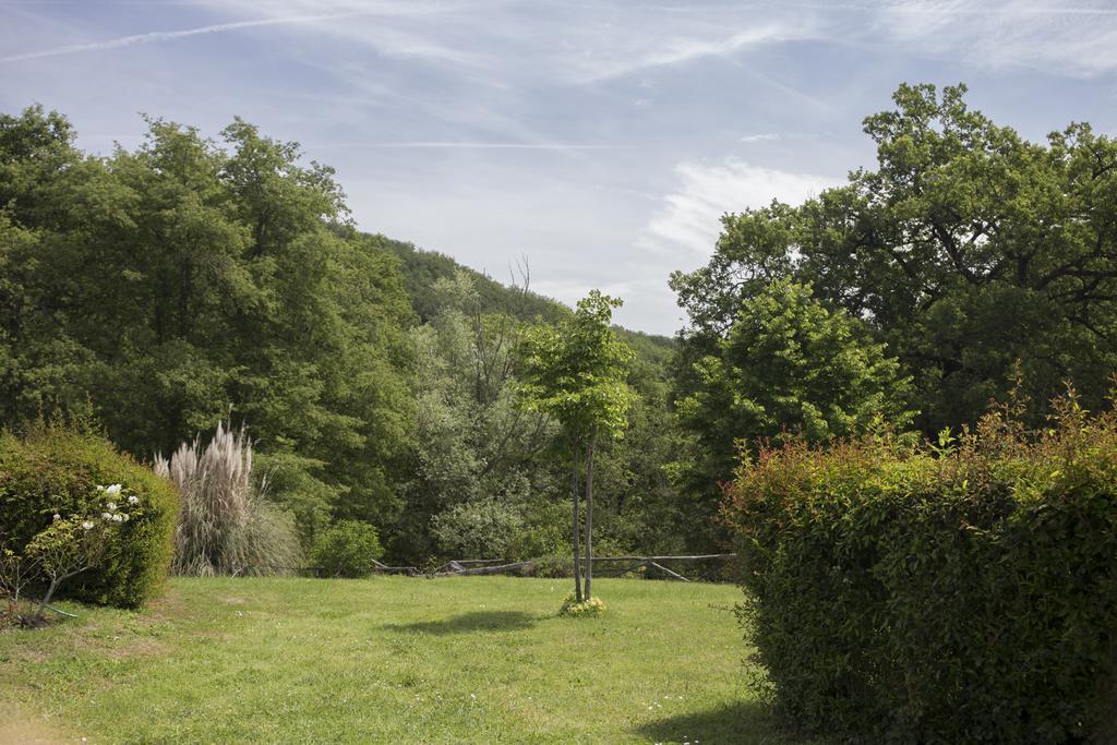 Villa Buonasera Agriturismo Greve in Chianti Buitenkant foto
